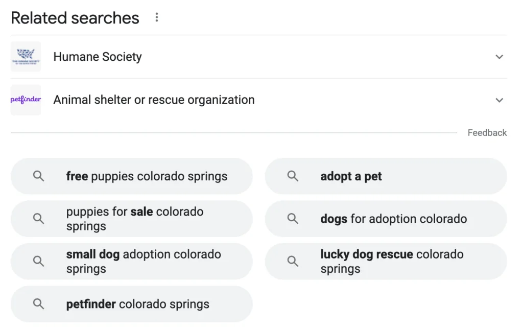 A screenshot of a Google keyword search that reads, "puppies for adoption Colorado Springs", with related searches.