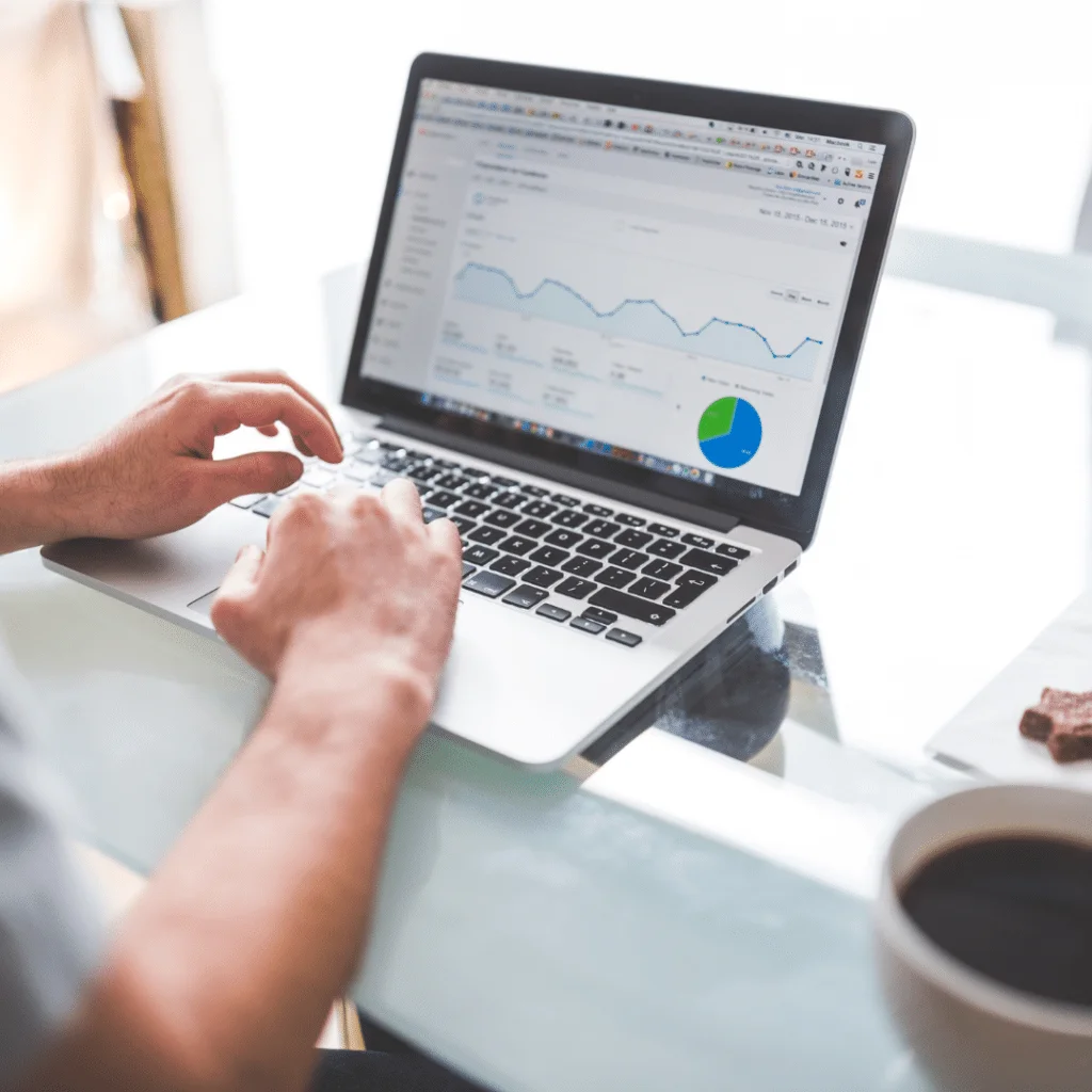 A picture of organic and paid ads data.