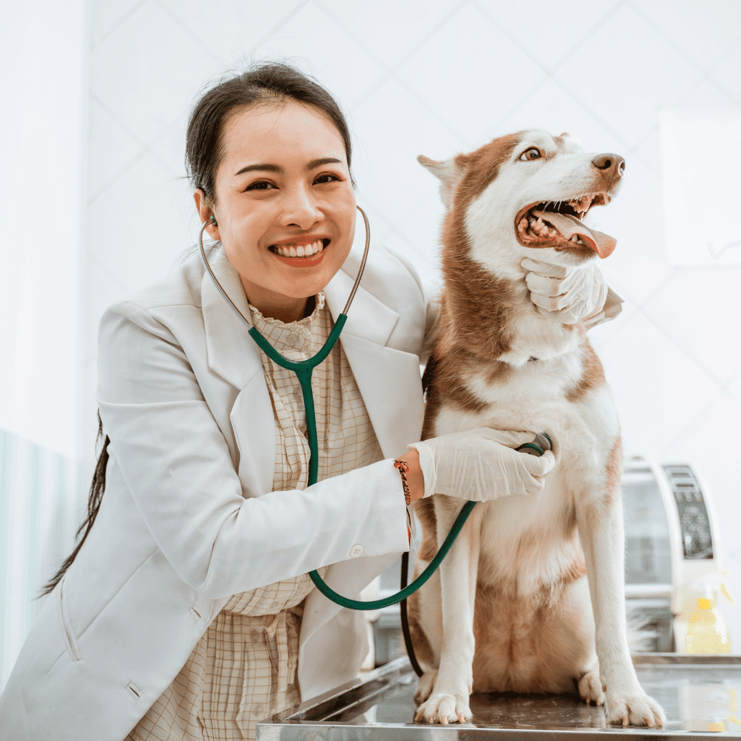 vet tech with a dog