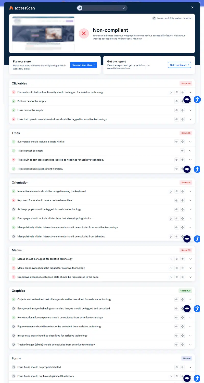 screenshot of a website accessibility audit
